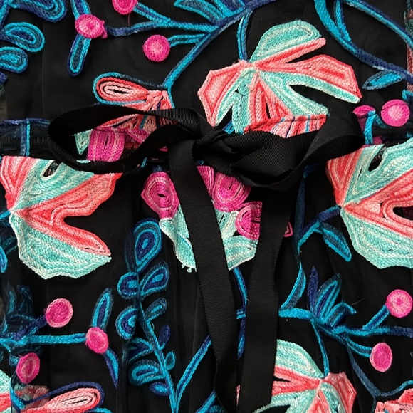 RARE Anthropologie Eva Franco Embroidered Dress - Size 6 - Picture 5 of 6